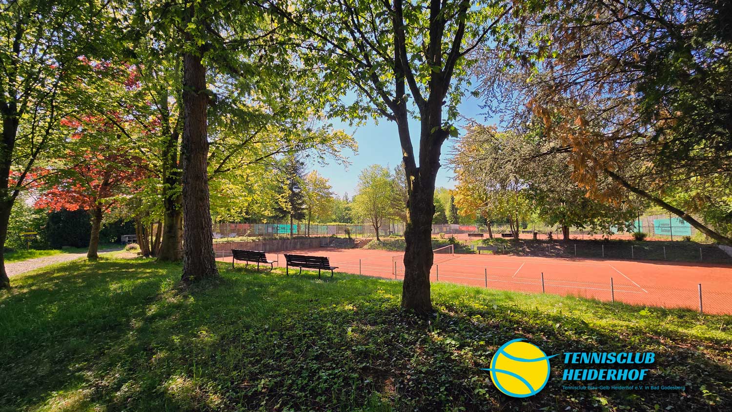 Tennisclub Blau-Gelb Heiderhof e.V.